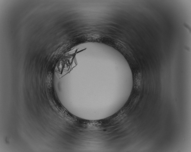 X0000100490468200807031920