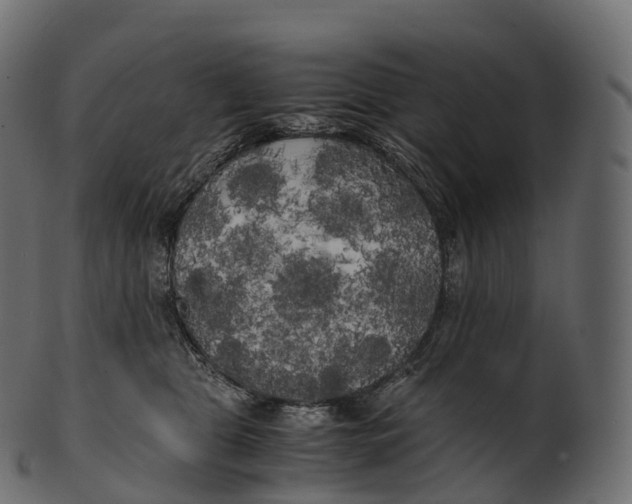 X0000100490469200807031920