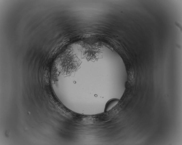 X0000100490470200807031920