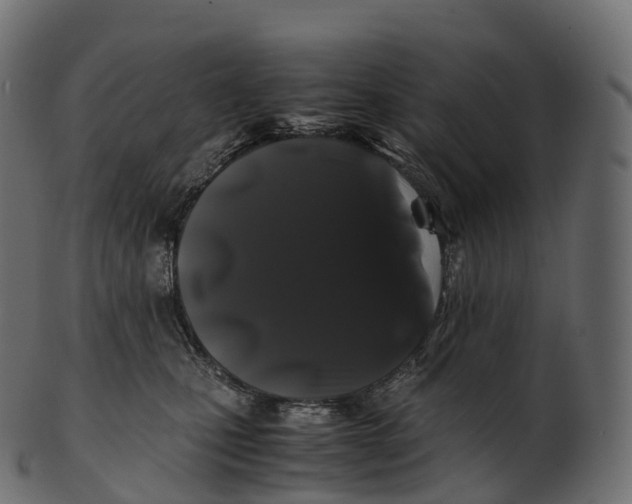 X0000100490471200807031921