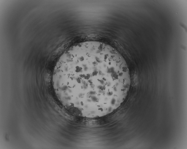 X0000100490472200807031921