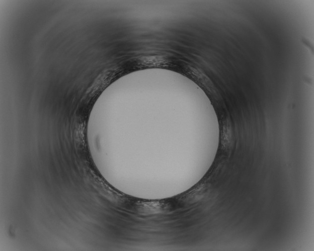 X0000100490473200807031921