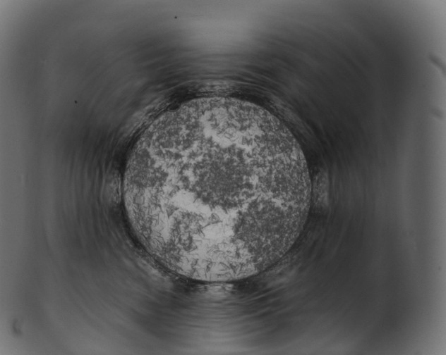 X0000100490474200807031921