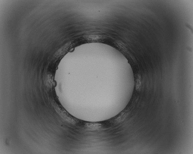 X0000100490476200807031921