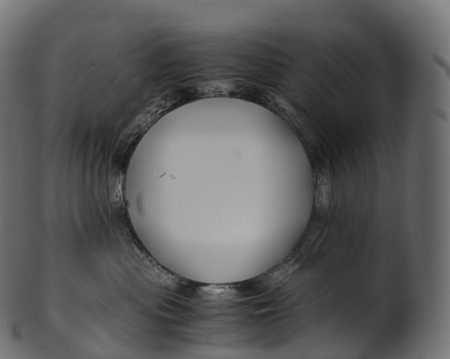 X0000100490477200807031921