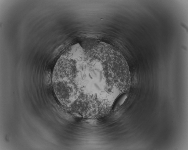 X0000100490478200807031921