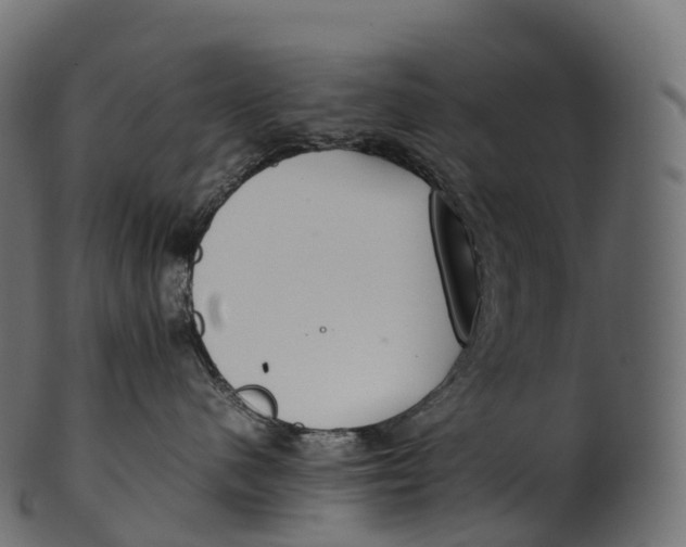 X0000100490480200807031921