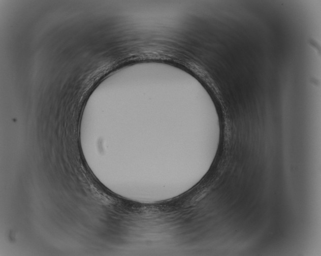 X0000100490481200807031920