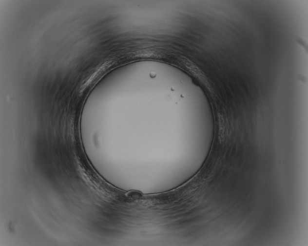 X0000100490482200807031920