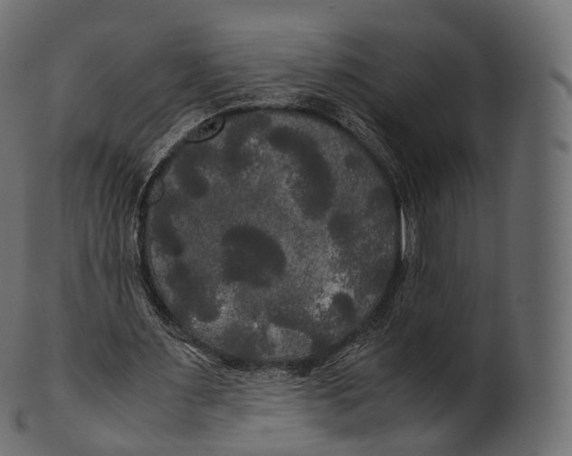 X0000100490483200807031920