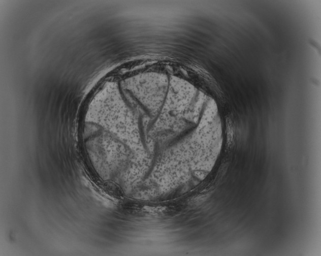 X0000100490484200807031920