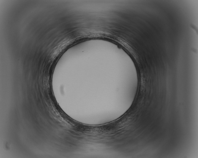 X0000100490485200807031920