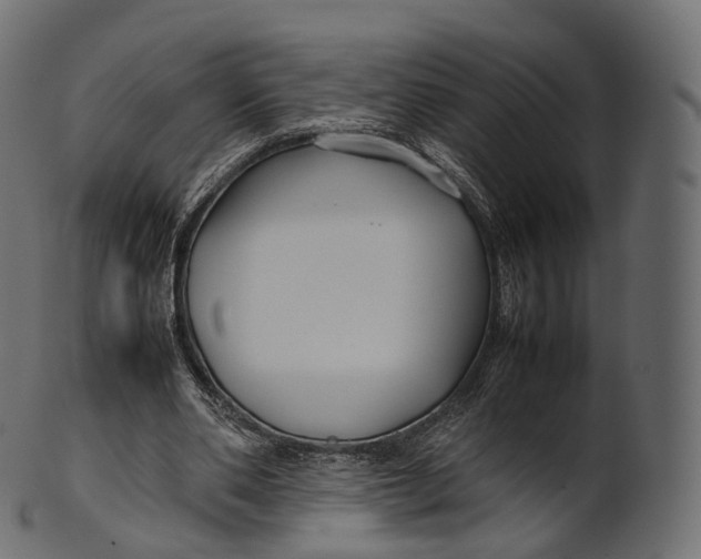 X0000100490486200807031920