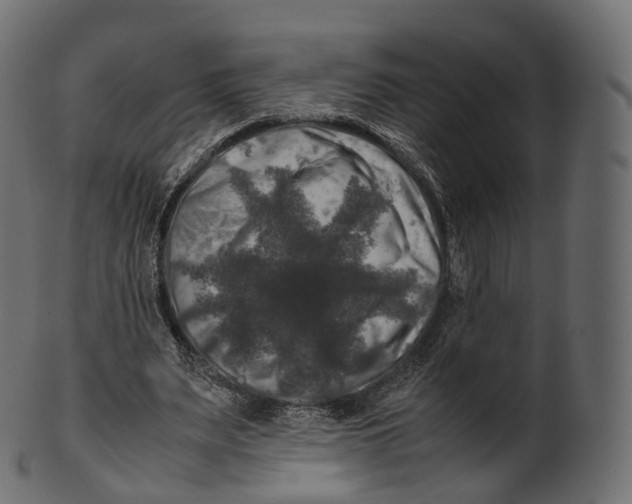 X0000100490487200807031920