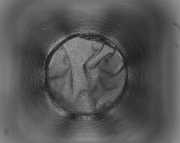 X0000100490488200807031920