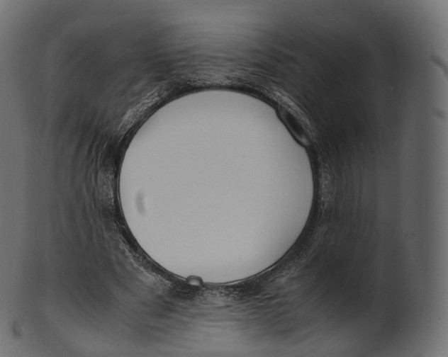 X0000100490489200807031920