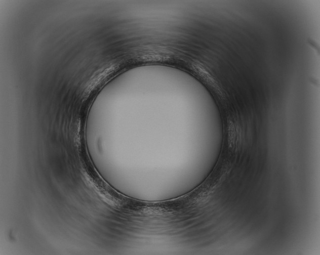 X0000100490490200807031920