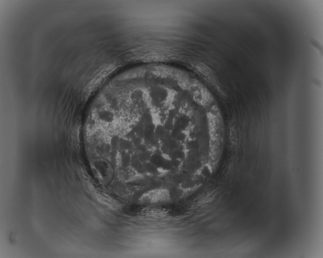 X0000100490491200807031920