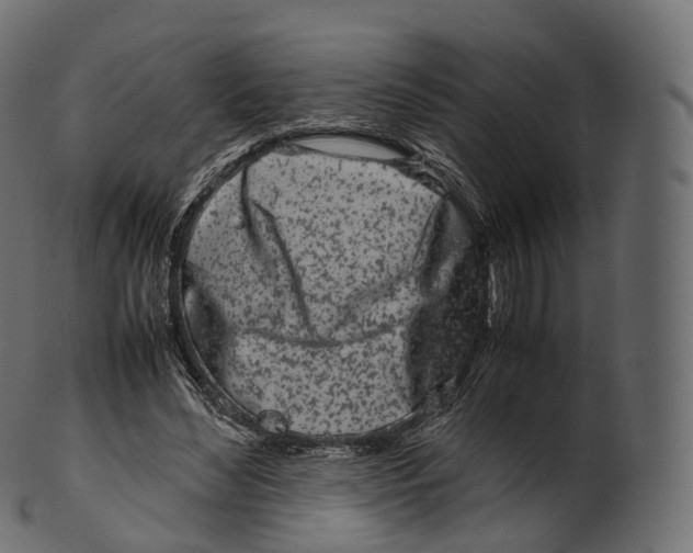 X0000100490492200807031920