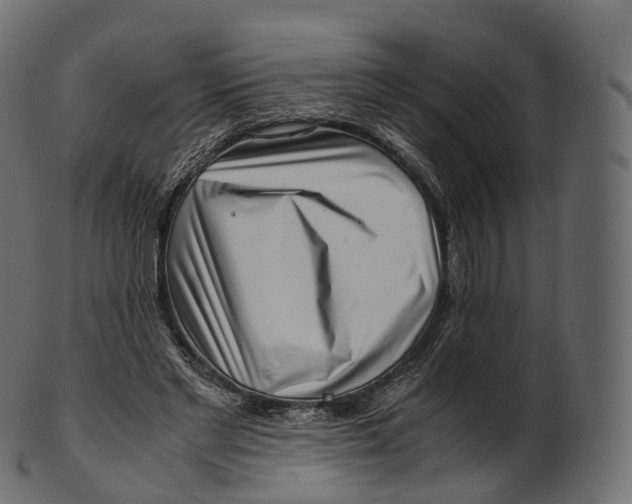 X0000100490493200807031920