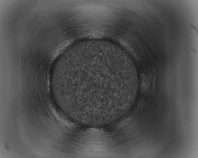 X0000100490494200807031920