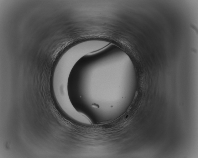 X0000100490495200807031920