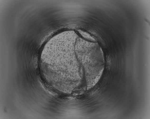 X0000100490496200807031920