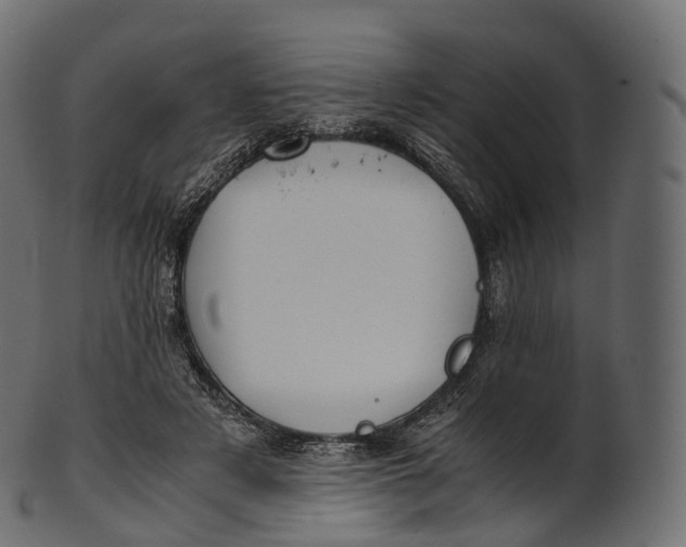 X0000100490497200807031920