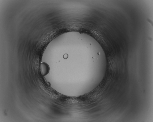 X0000100490498200807031920