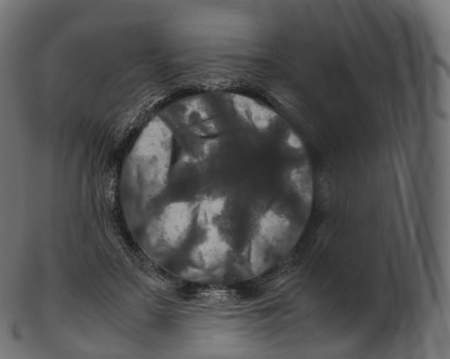 X0000100490499200807031920