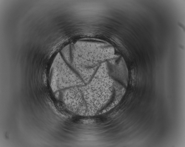 X0000100490500200807031920