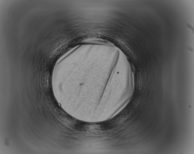 X0000100490501200807031920