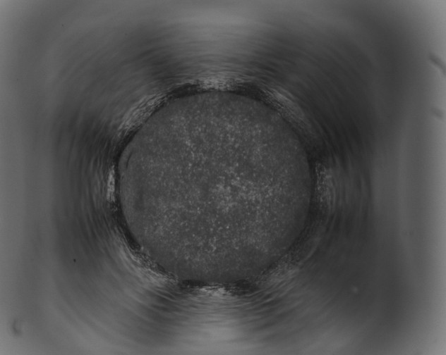 X0000100490502200807031920