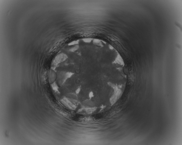 X0000100490503200807031920