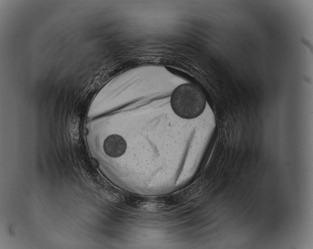 X0000100490504200807031920