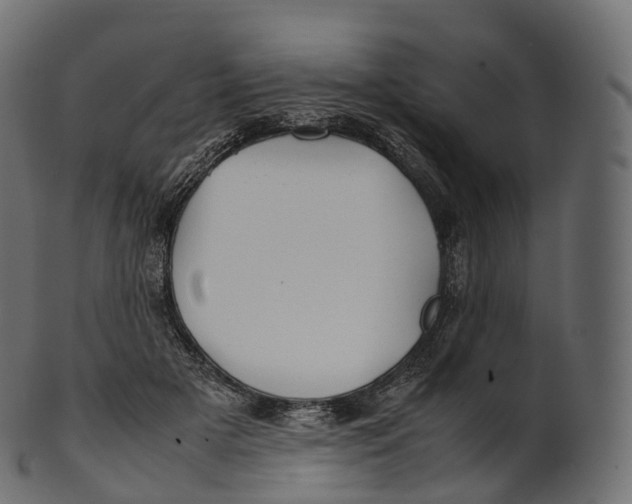 X0000100490505200807031920