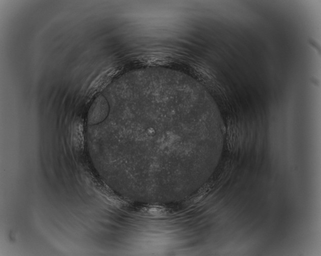 X0000100490506200807031920