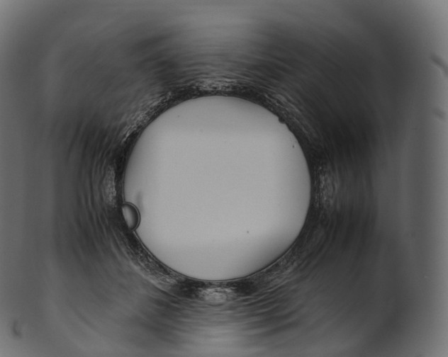 X0000100490508200807031920