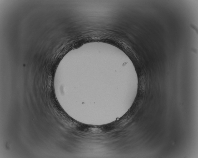 X0000100490509200807031919