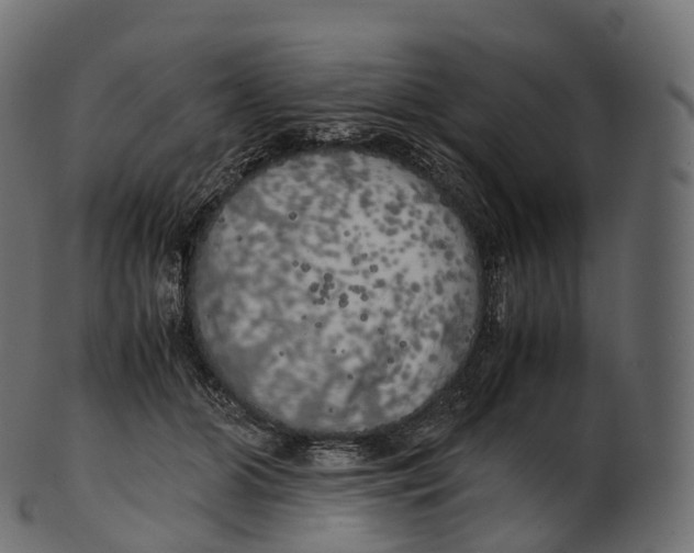 X0000100490510200807031919