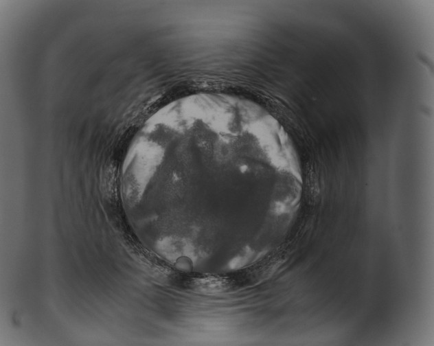 X0000100490511200807031919