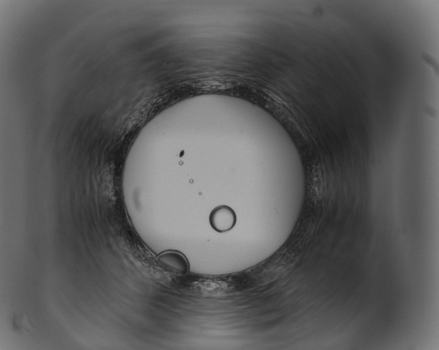 X0000100490512200807031919