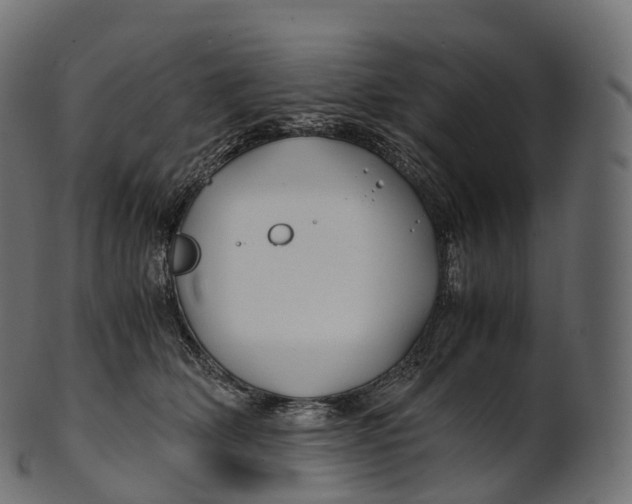 X0000100490514200807031919