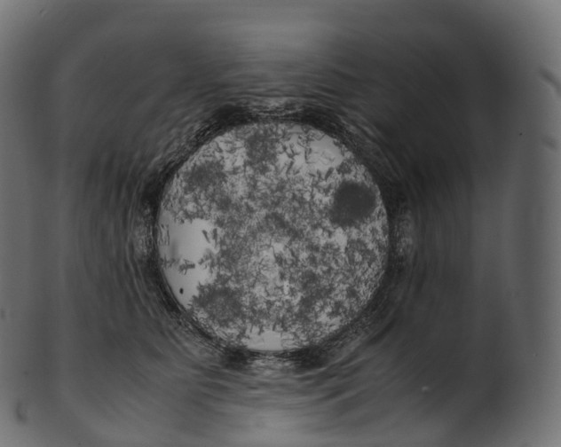 X0000100490515200807031919