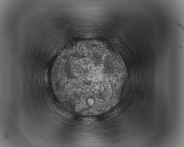 X0000100490516200807031919