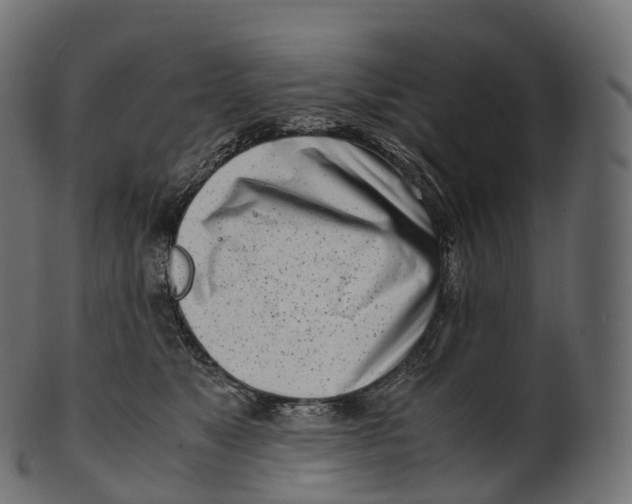 X0000100490517200807031919