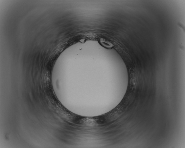 X0000100490518200807031919