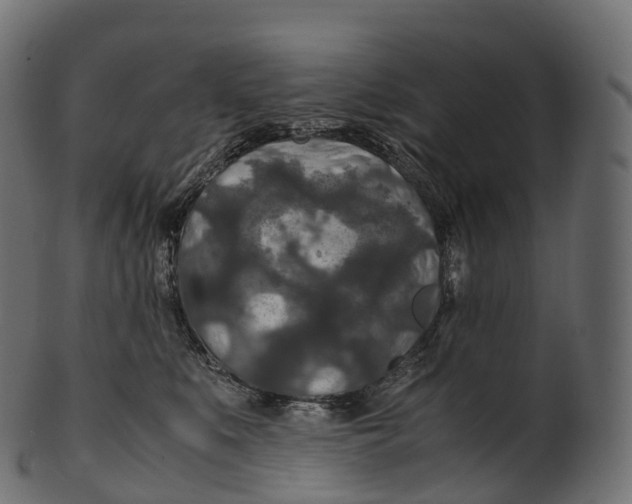 X0000100490519200807031919