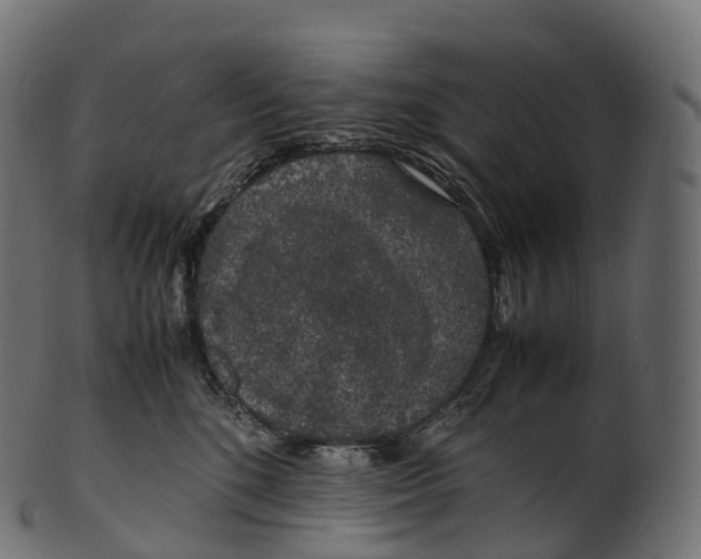 X0000100490520200807031919