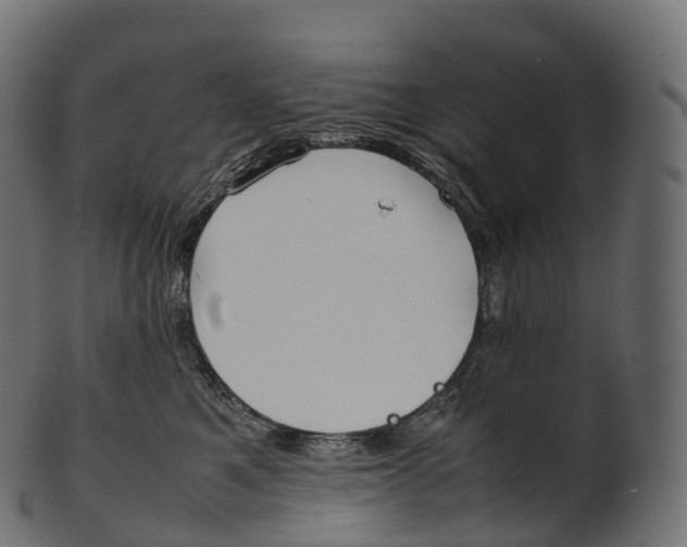 X0000100490521200807031919